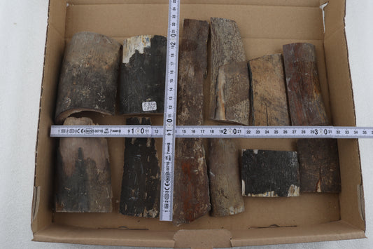 Raw mammoth bark pieces