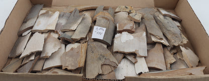 Untreated mammoth ivory offcuts