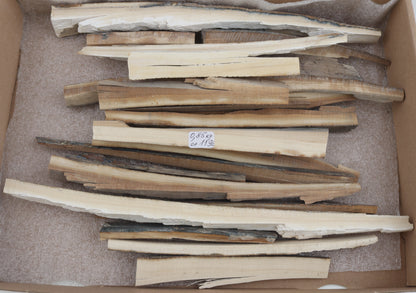 Untreated mammoth ivory offcuts