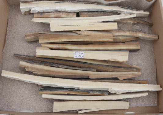 Untreated mammoth ivory offcuts
