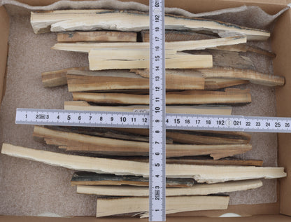 Untreated mammoth ivory offcuts