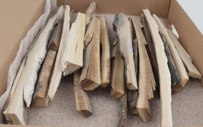 Untreated mammoth ivory offcuts