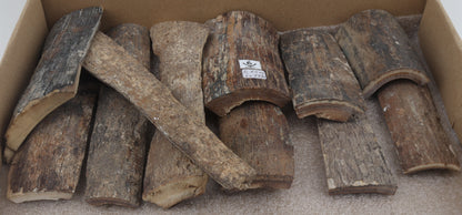 Untreated mammoth bark pieces