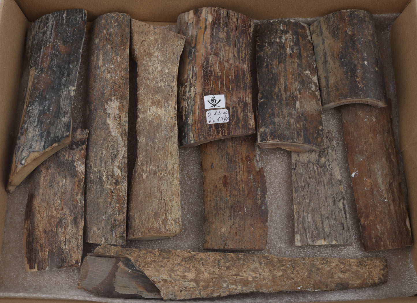 Untreated mammoth bark pieces