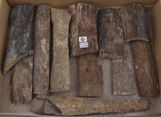 Untreated mammoth bark pieces