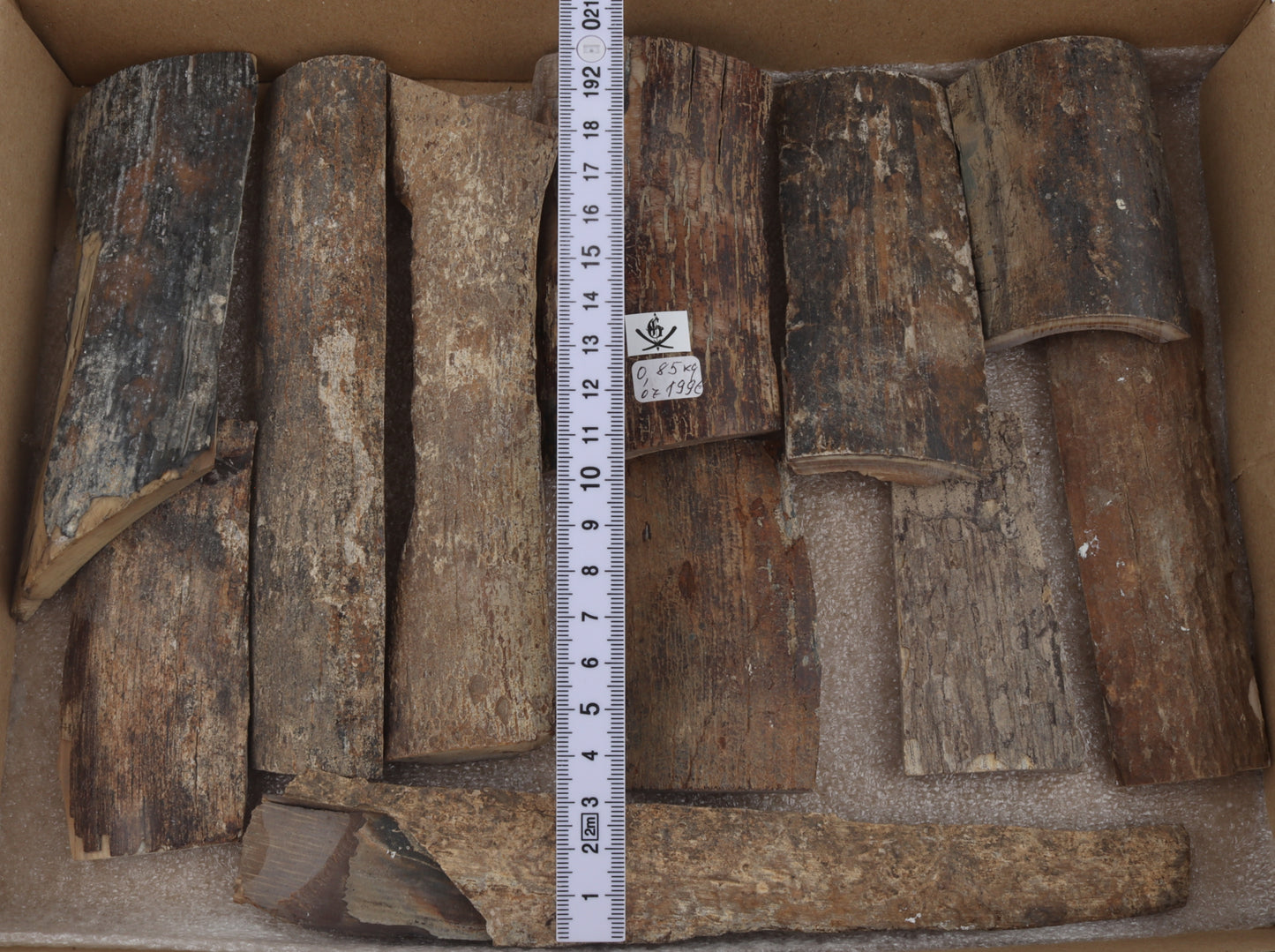 Untreated mammoth bark pieces