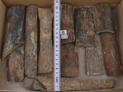 Untreated mammoth bark pieces