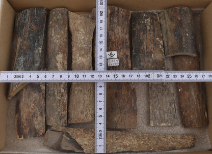 Untreated mammoth bark pieces
