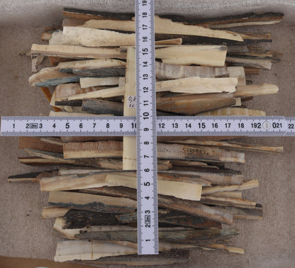 Natural mammoth ivory offcuts