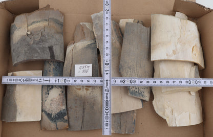Raw mammoth ivory pieces