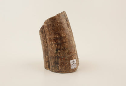 Mammoth tusk base section