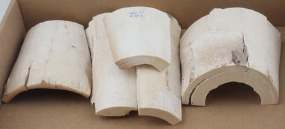 White mammoth ivory pieces