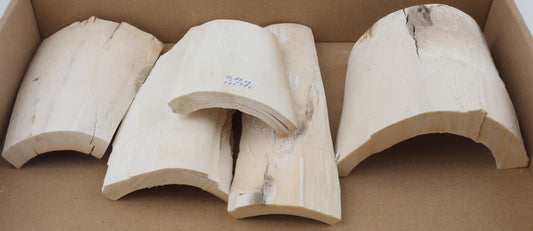 White mammoth ivory pieces