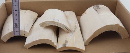 White mammoth ivory pieces