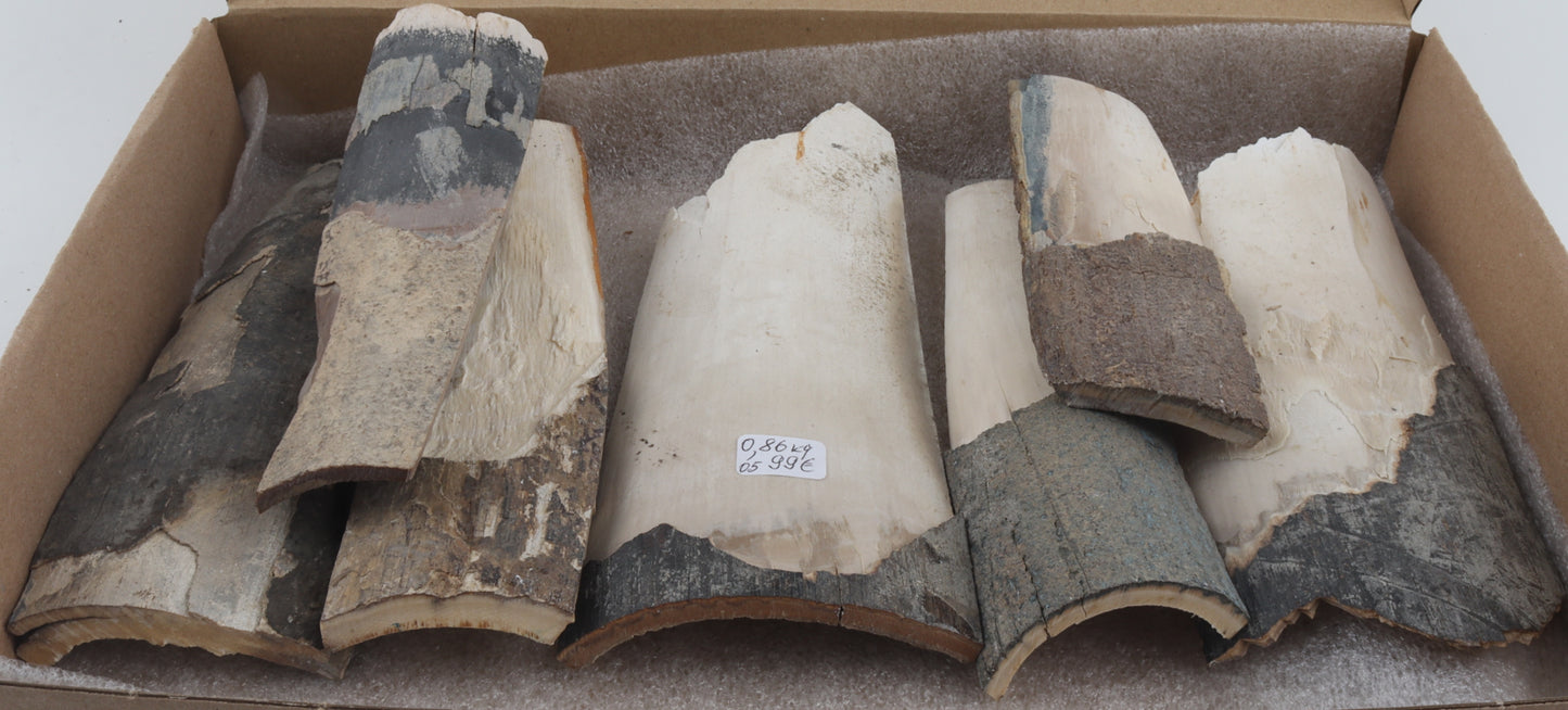 Raw mammoth ivory pieces