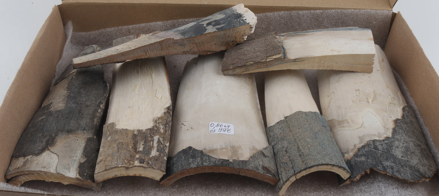 Raw mammoth ivory pieces
