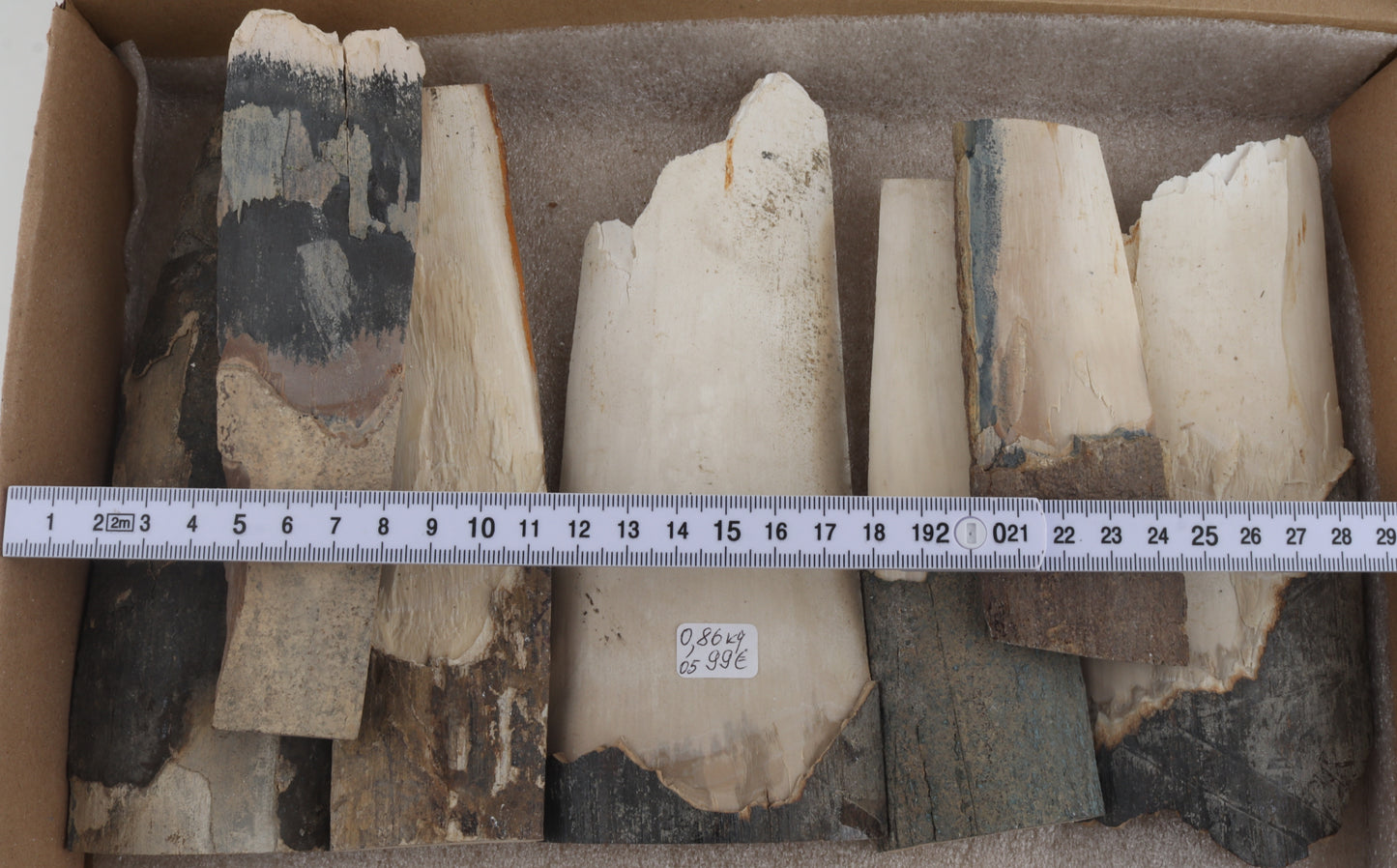 Raw mammoth ivory pieces
