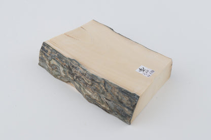 White mammoth ivory segment