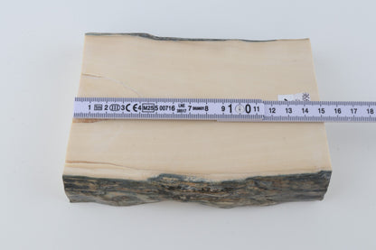 White mammoth ivory segment