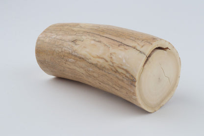 Round mammoth ivory piece