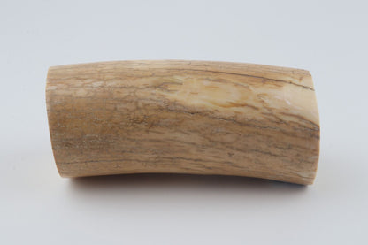 Round mammoth ivory piece
