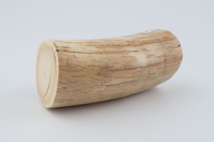 Round mammoth ivory piece