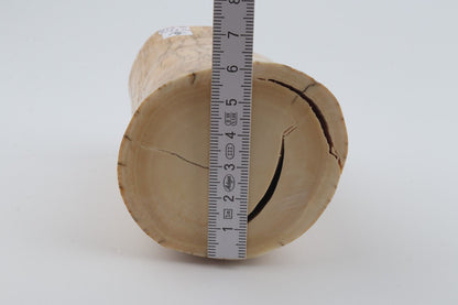 Round mammoth ivory piece