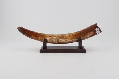 Restored woolly mammoth tusk