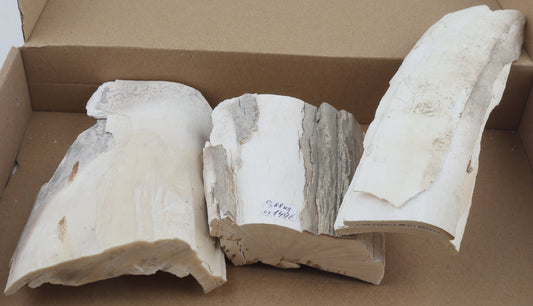 Raw mammoth ivory pieces