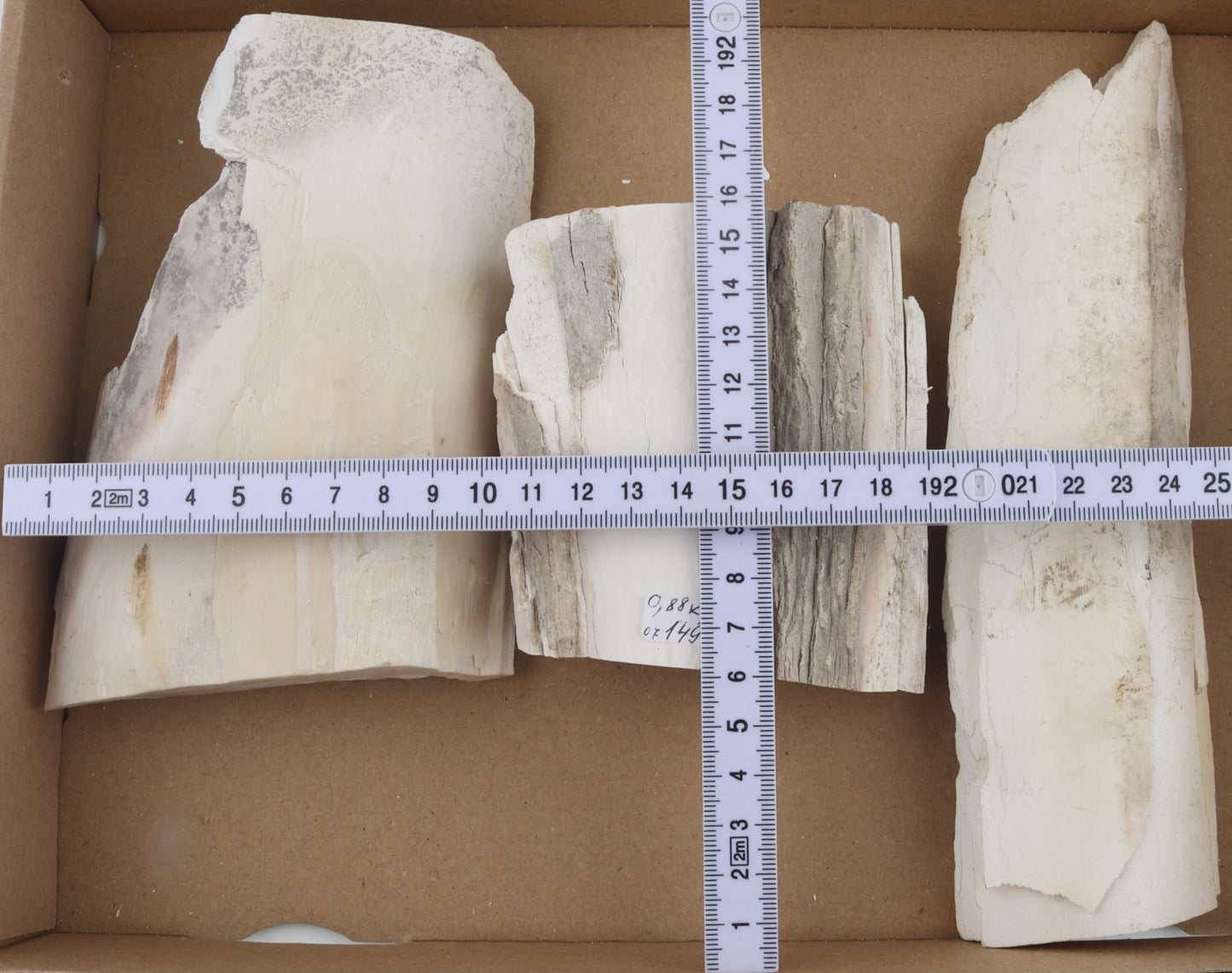 Raw mammoth ivory pieces