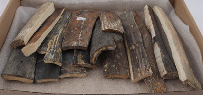 Raw mammoth bark pieces