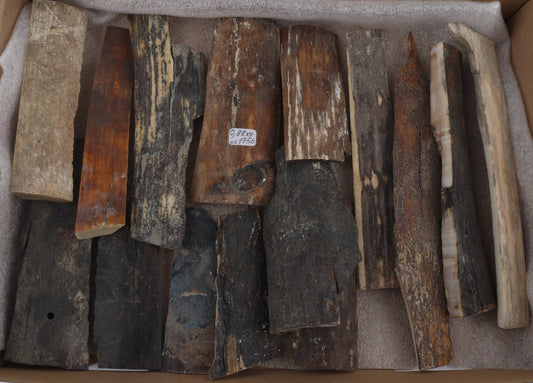 Raw mammoth bark pieces