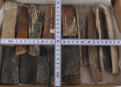 Raw mammoth bark pieces