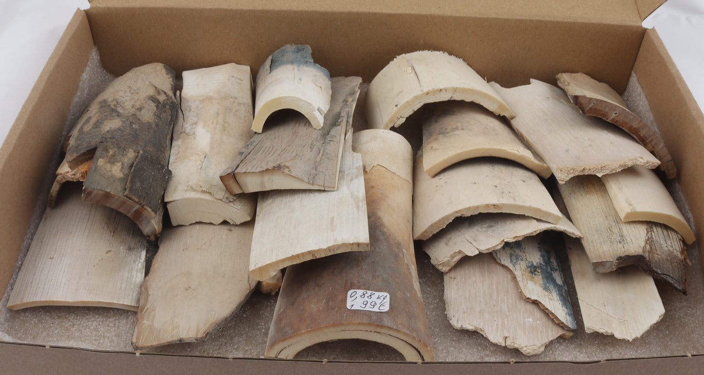 Raw mammoth ivory pieces