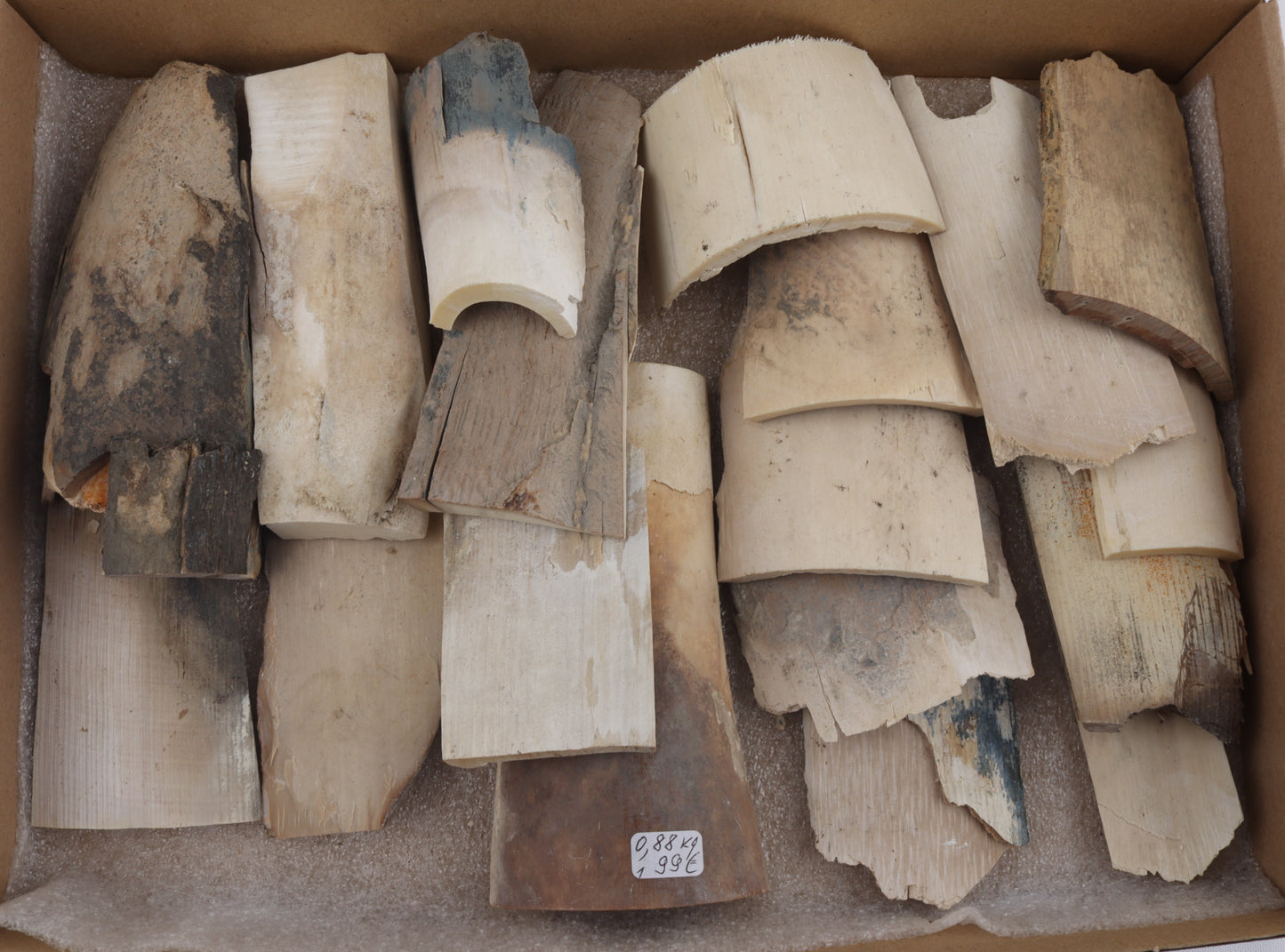 Raw mammoth ivory pieces