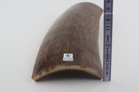 Brown-mustard mammoth bark