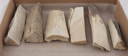 Untreated mammoth ivory pieces