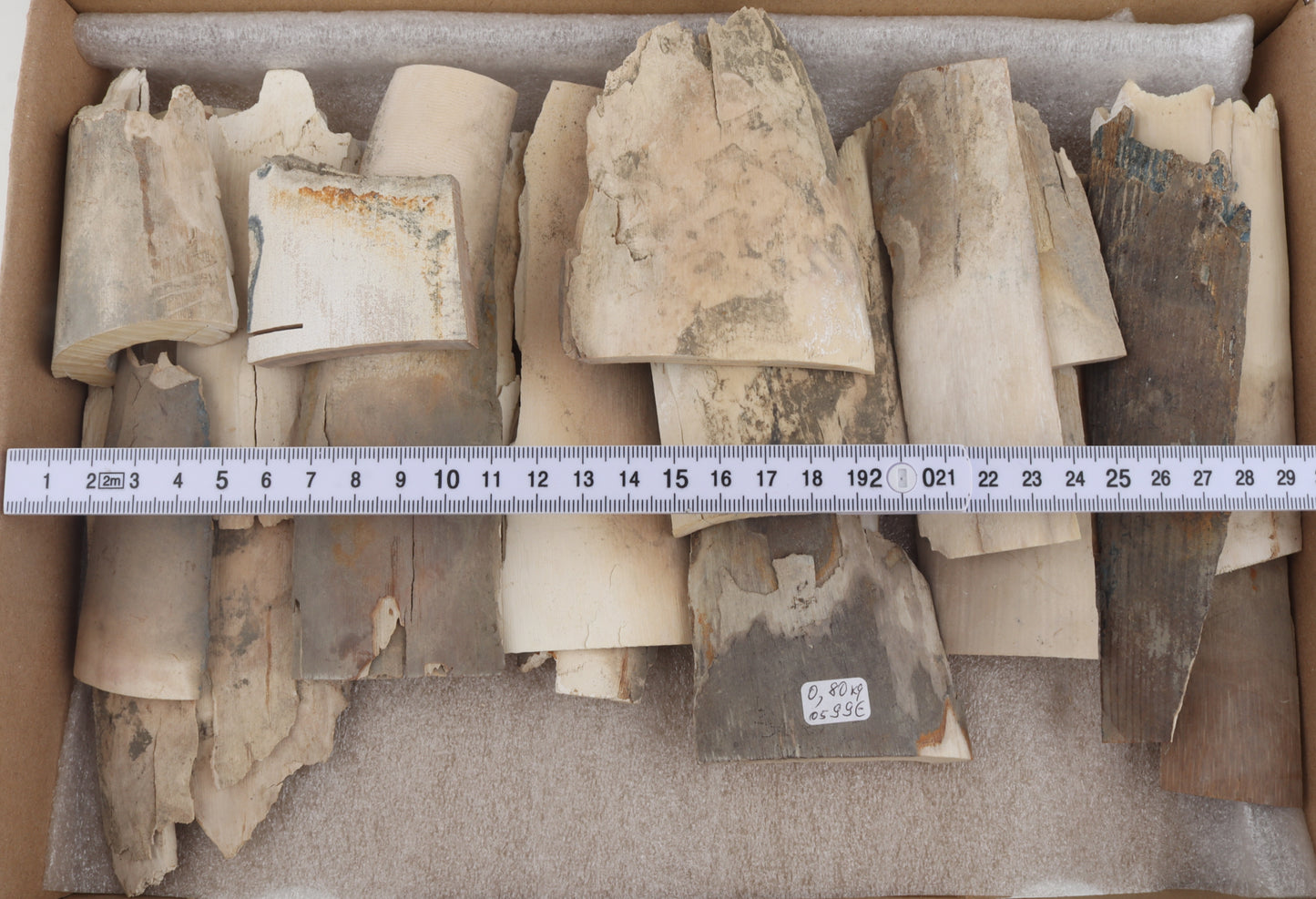 Raw mammoth ivory pieces