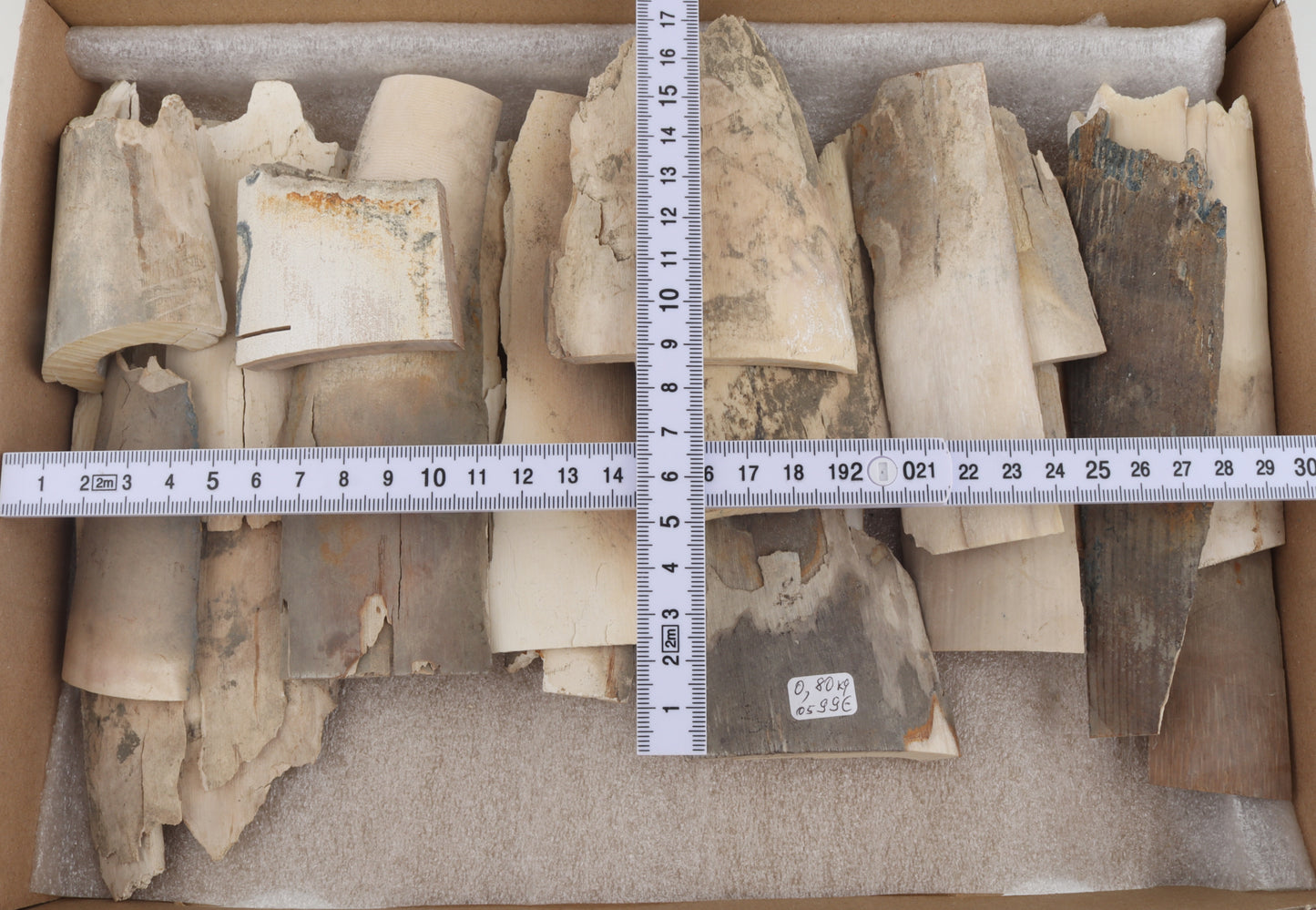 Raw mammoth ivory pieces