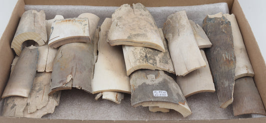 Raw mammoth ivory pieces