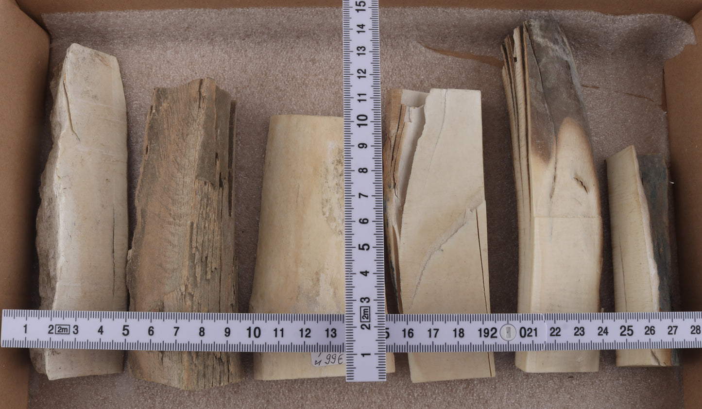 Untreated mammoth ivory pieces