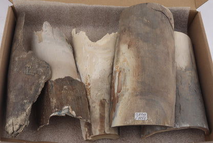 Raw mammoth ivory pieces