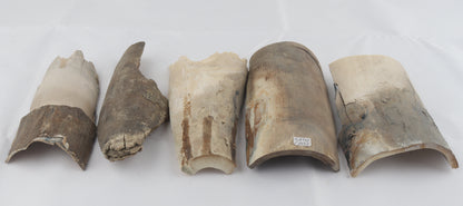 Raw mammoth ivory pieces