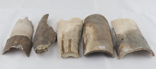 Raw mammoth ivory pieces