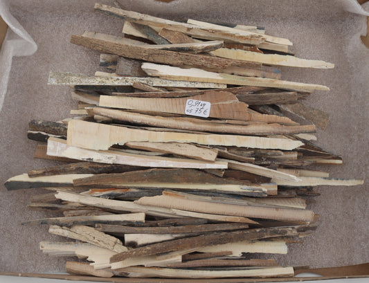 Raw mammoth ivory offcuts