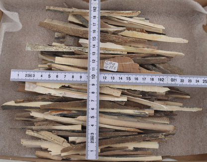 Raw mammoth ivory offcuts