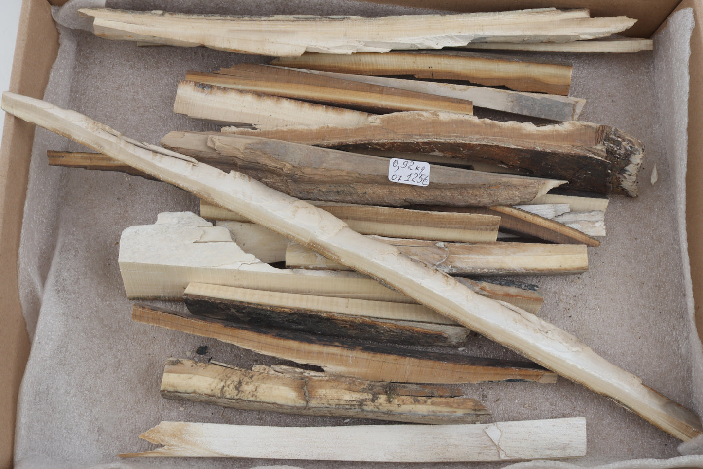 Raw woolly mammoth ivory offcuts