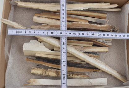 Raw woolly mammoth ivory offcuts