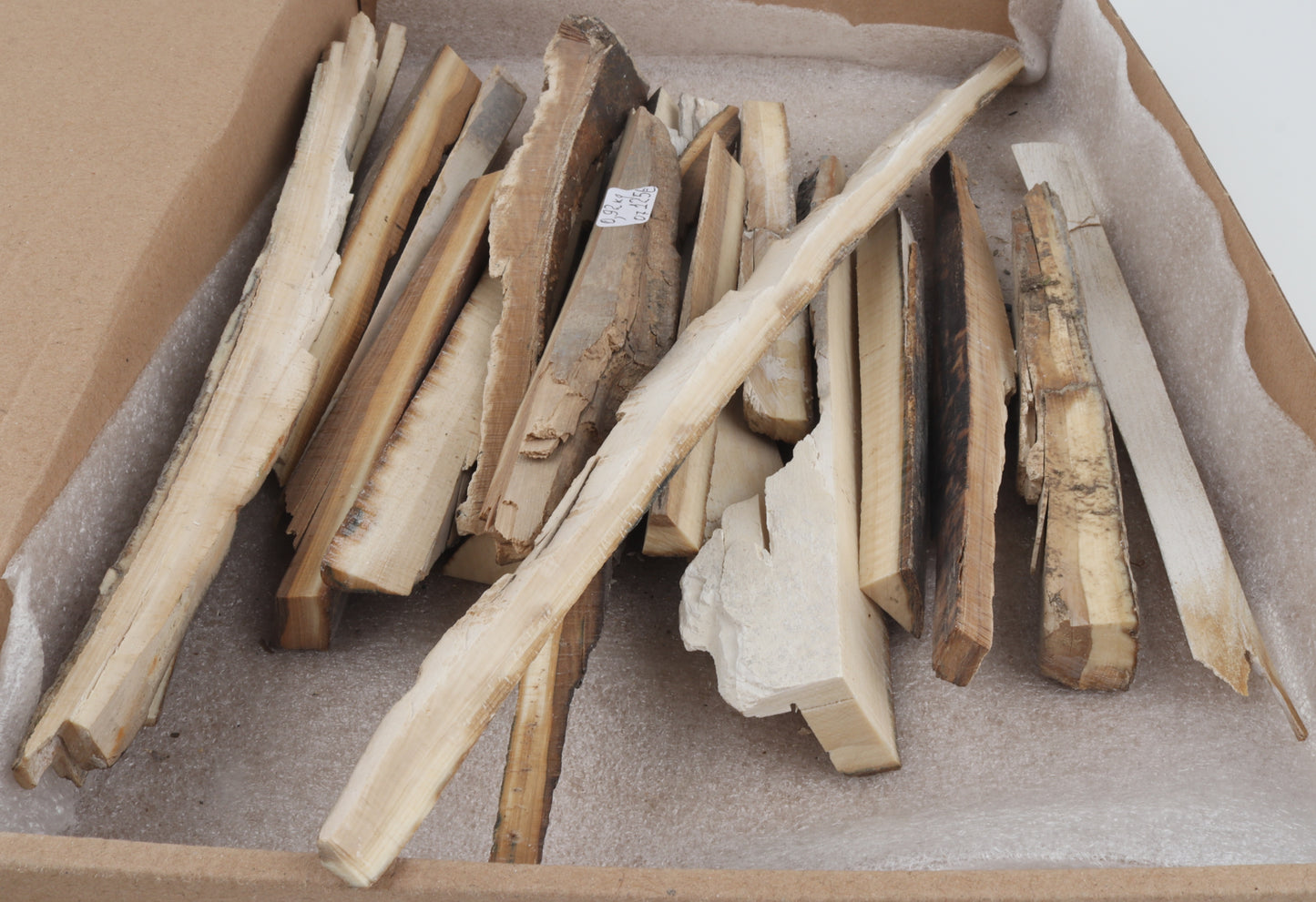 Raw woolly mammoth ivory offcuts