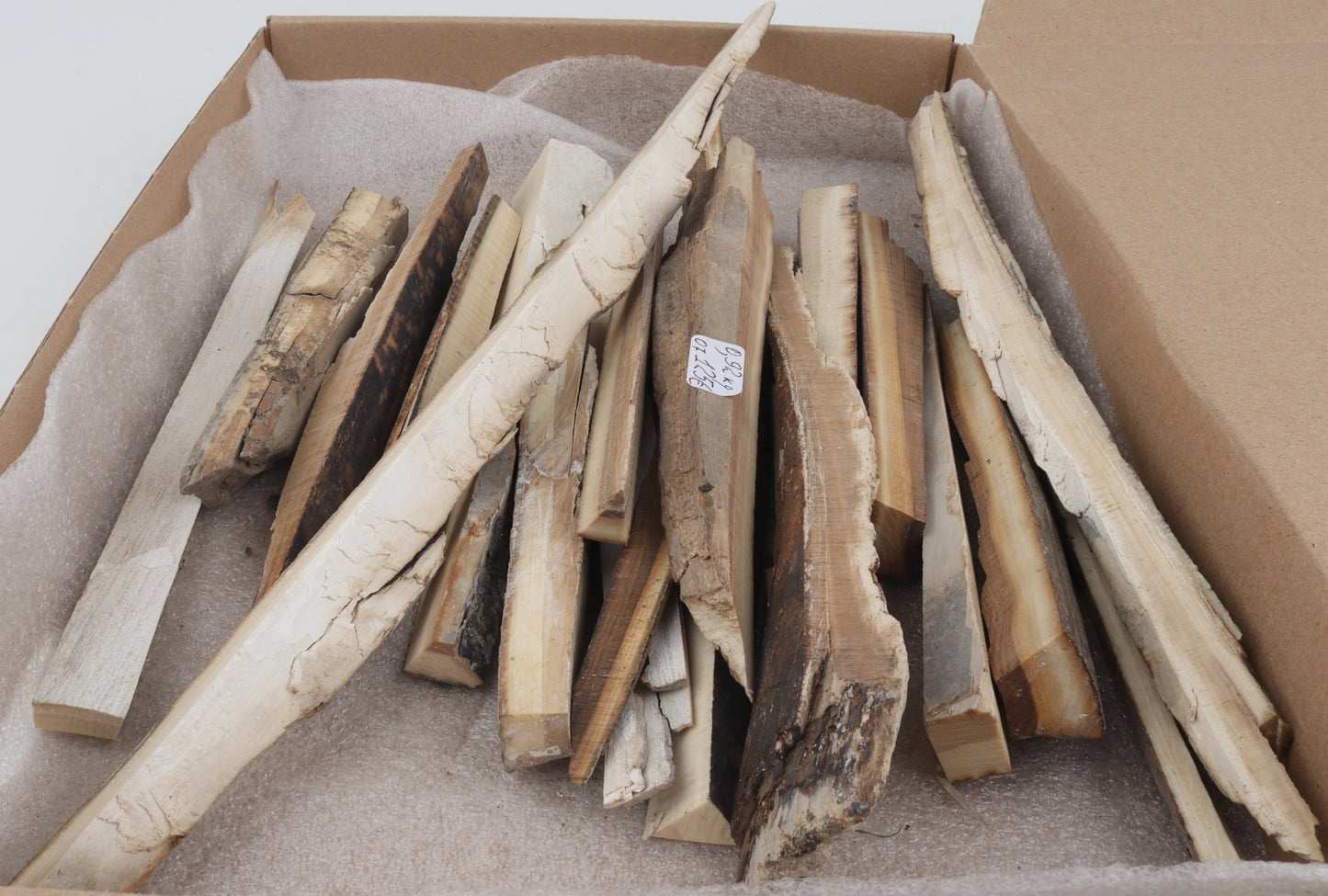 Raw woolly mammoth ivory offcuts